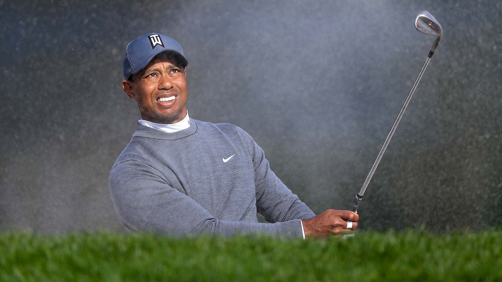 Tiger at Valspar