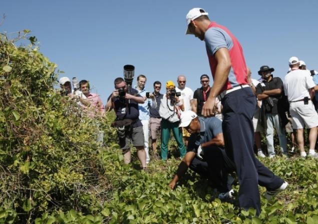 Tiger in desert?