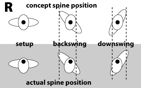 Imagined vs actual hip and spine construction for righties