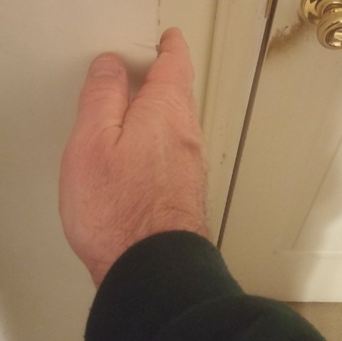 Flat palm really tilted up